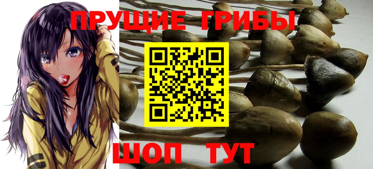 Галлюциногенные грибы Psilocybe  Псилоцибиновые грибы Cubensis  Вход с VPN  Ртищево 